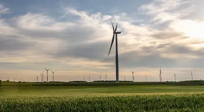 Sustainability Metesco